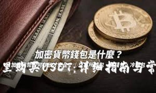如何在钱包里购买USDT：详细指南与常见问题解析