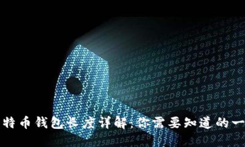 比特币钱包长度详解：你需要知道的一切
